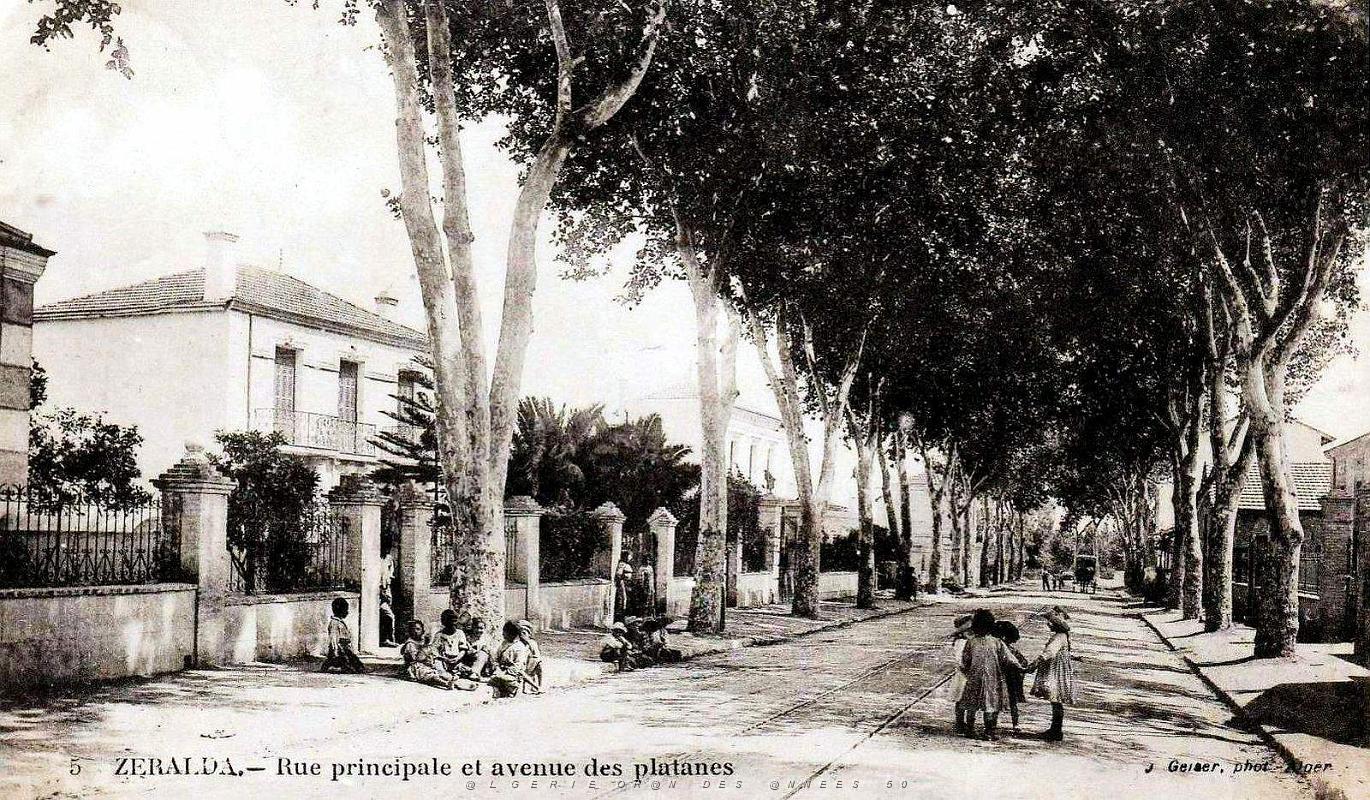 2183- Zeralda - Rue Principale et Avenue des Platanes.jpg